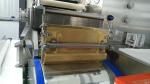 Pharmaceutical Enterprises Electric Plc Softgel capsule filling Encapsualtion