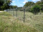 50m / Roll Heavy Duty Galvanized Field Fence , 1.5m High Livestock Wire Fence