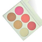 Long Lasting Private Label Cheek Makeup Blush Palette