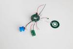 Durable Brushless Drive Motor Controller 36V 70g Weight Customized