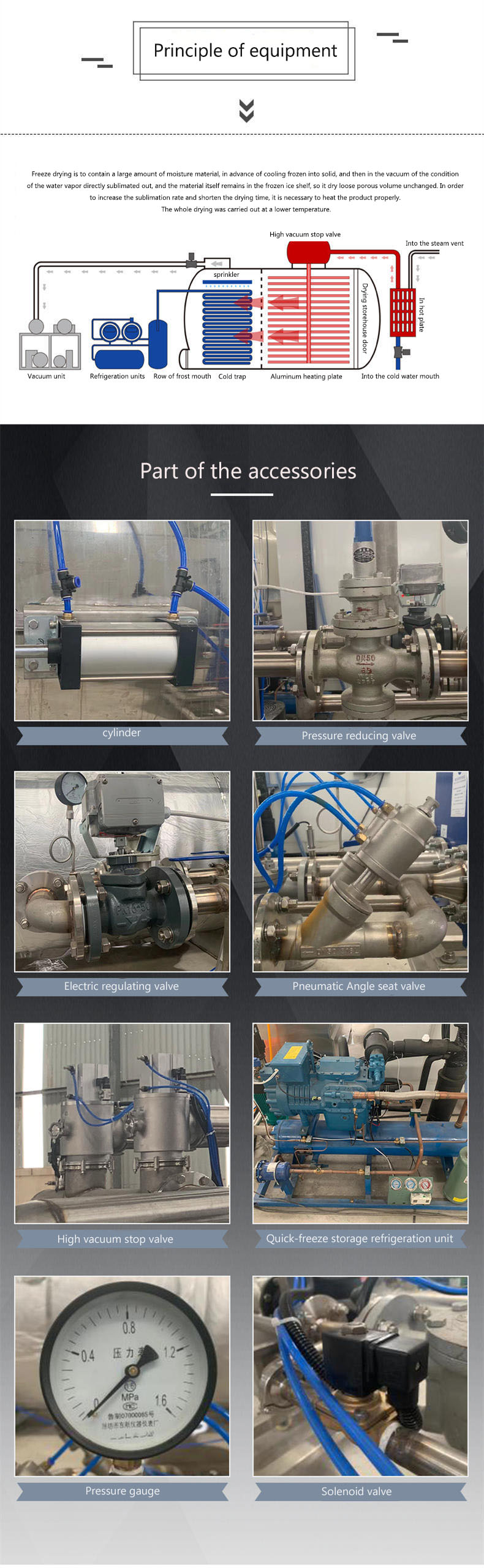 Food Vacuum Freeze Drying Machine For Vegetable and Fruit Drying