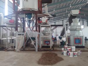 Quality Sawdust Wood Pellet Production Line Customized Motor Power Pellet Mill Plant wholesale
