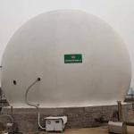 Biogas Storage Tank Price Biogas Storage Tank Design