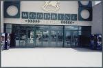 Bullet Proof Security Aluminium Hinged Doors With Laminated Glass French Style