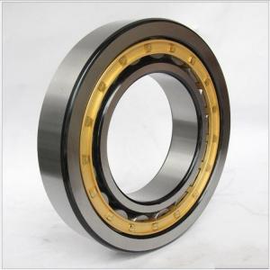 Quality SL045028PP bearings /ROLAMENTO SL045028PP / SL045028PP cylindrical roller bearings wholesale