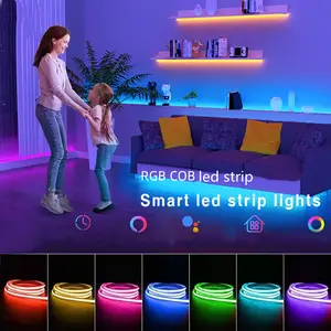 Product Weight 0.3kg 5m 10m Smart Strip Light with Dream Colour RGB COB Chip LED