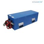 48 Volt Lithium Golf Cart Batteries , Electric Golf Cart Batteries Anti