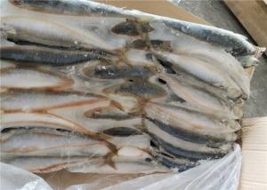 Quality 75g 80g Gutted Shape Frozen Mackerel Fish For Bait wholesale