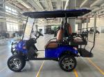 Electric Golf Cart 2+2 Passenger Lead Batteries Powered Four Wheeler Hunting