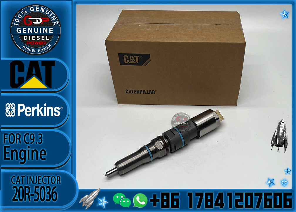 Common Rail Fuel Injector 456-3493 20R-5036 456-3509 456-3544 20R-5079 363-0493 367-4293 20R-1318 For Cat 336E C9.3