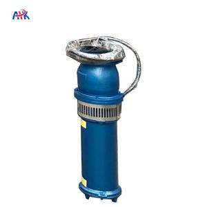 Quality 220m3/H 5m Horizontal Irrigation Water Submersible Pump wholesale