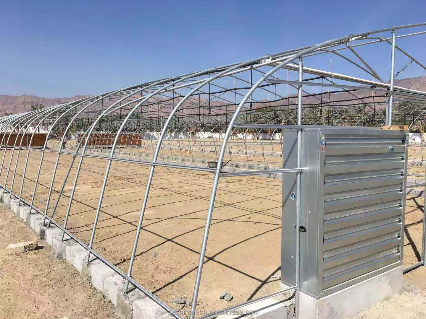 6m-10m Width Single Layer High Strength Poly Tunnel Greenhouse For Tomato Production