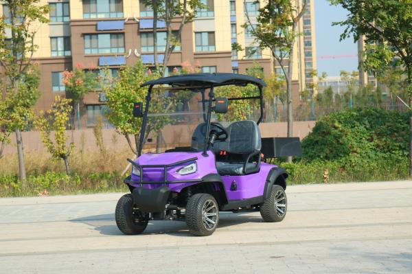 Blue 2-Seater New Energy Electric Cargo Golf Cart Classic With LIthium Battery