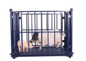 Quality Anti Rust 3000KG Digital Livestock Scales With Fence wholesale