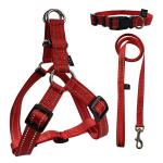 Personalized Buckle Waterproof Dog Leash