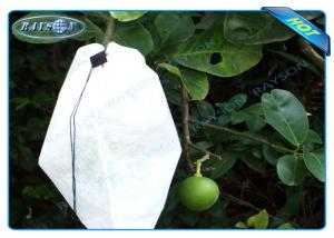 Quality Nonwoven Agiculture Plant Grow Bags For Fruit Growth and Protection , Potato Grow Bags wholesale
