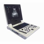 SRA Large Animal Veterinary Ultrasound Machine 64G 12 Inch LCD Display