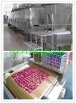 Stainless Steel Rose Flower Dryer Machine Microwave Drying
