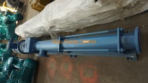 China Drilling Mud Single Screw Pump on sale