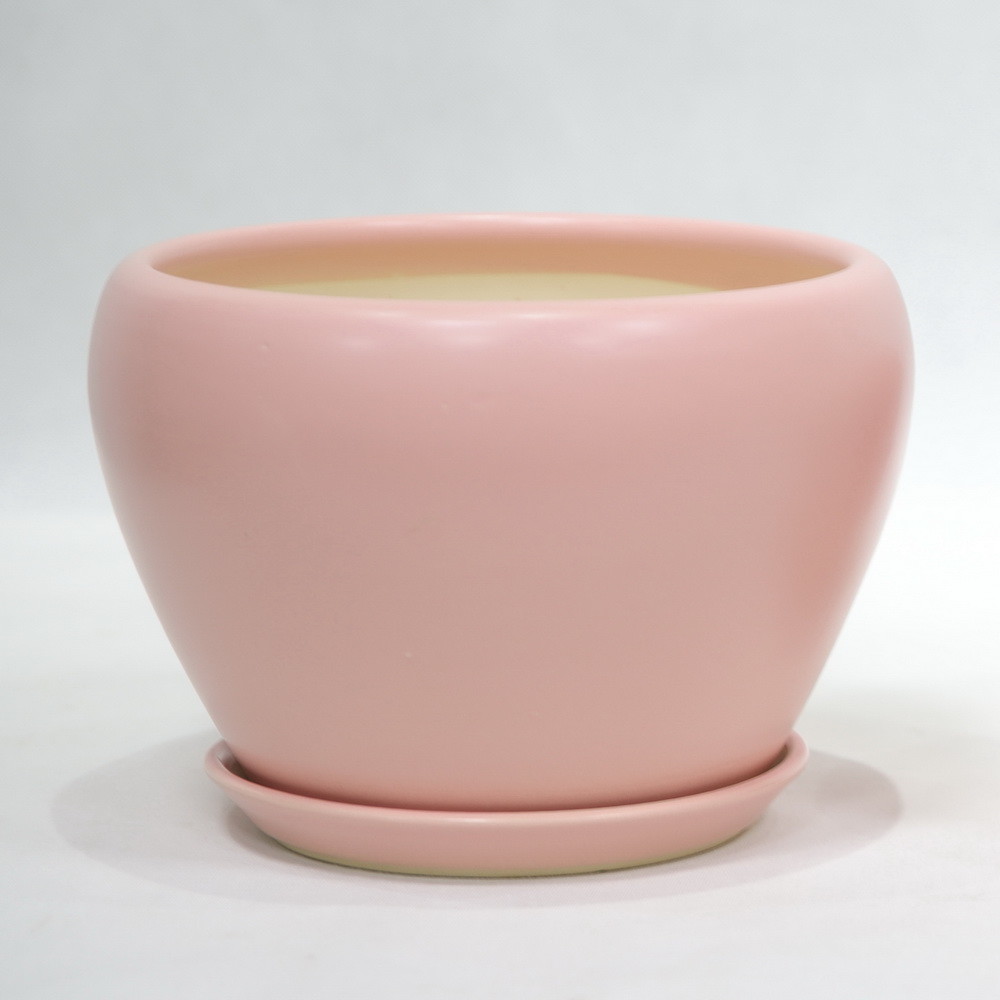 Affordable And Durable Ceramic Pots For Your Plants Custom Designs Available