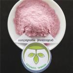 cherry juice powder buy best organic tart cherry powderuses health benefits