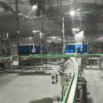 Fully Automatic Seafood Sauce Filling Production Lines Bottled Paste Filling