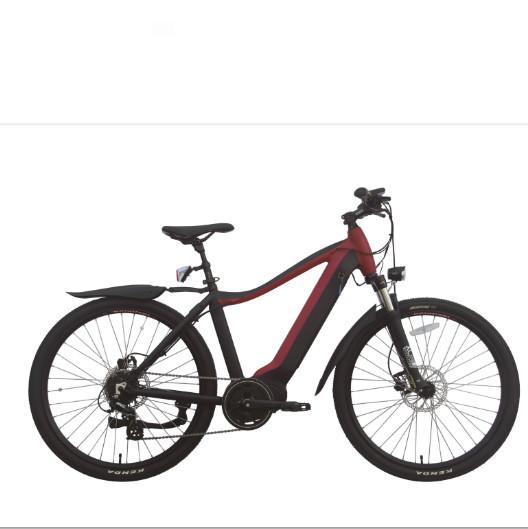 200w 2 Wheel Drive Electric Bike Adult 29 Inch 40 Mph E Fat Tire Portable