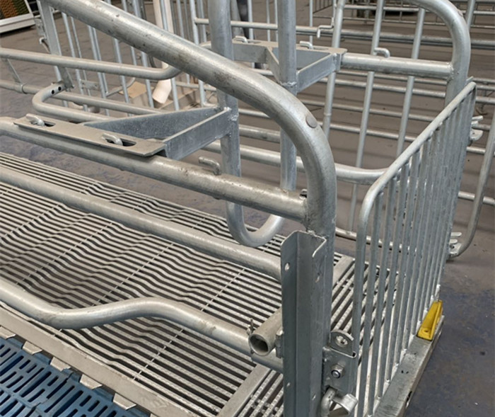 Adjustable Sow Joy Farrowing Crates With Plastic Slatted Flooring Long Using Time