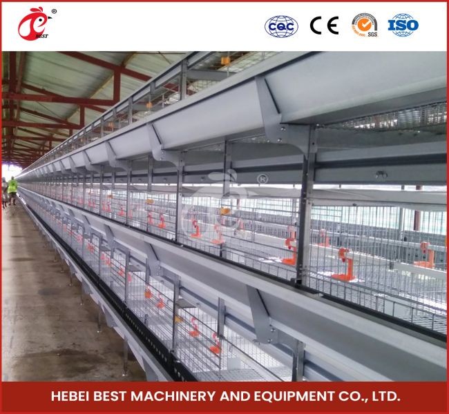Retails Poultry Farming Cage System with Automatic Drinking System and Nipple Drinker Mia
