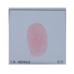E023 Red ink for fingerprint pad