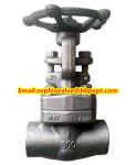 ANSI forged stainless steel globe valve