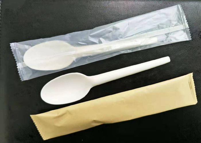 Compostable Disposable Spoon 165mm CPLA Cutlery