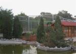 Weave Stainless Steel Cable Trellis Mesh , Stainless Steel Cable Fence