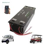 ODM OEM Electric Golf Cart Lithium Battery Rechargeable 36v 48v 72v 100ah 200ah