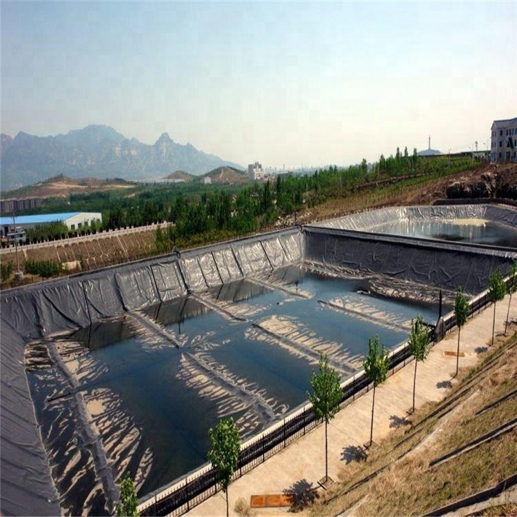 1mm 0.5mm 1.5mm 2mm Hdpe Geomembrane for Plastic Fish Shrimp Pond Liner Design Style