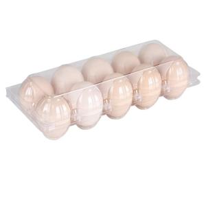 Quality Hinged Clamshell Clear Plastic Egg Tray 10 Holes PET Compression Resistance wholesale