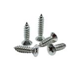 Recessed Metal Screw Fasteners Countersunk Head Powder Coating ODM
