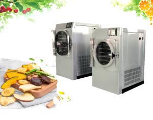 Quality Cold Trap Home Freeze Dryer Machine Electric Heating Fruit Freeze Drying Machine wholesale