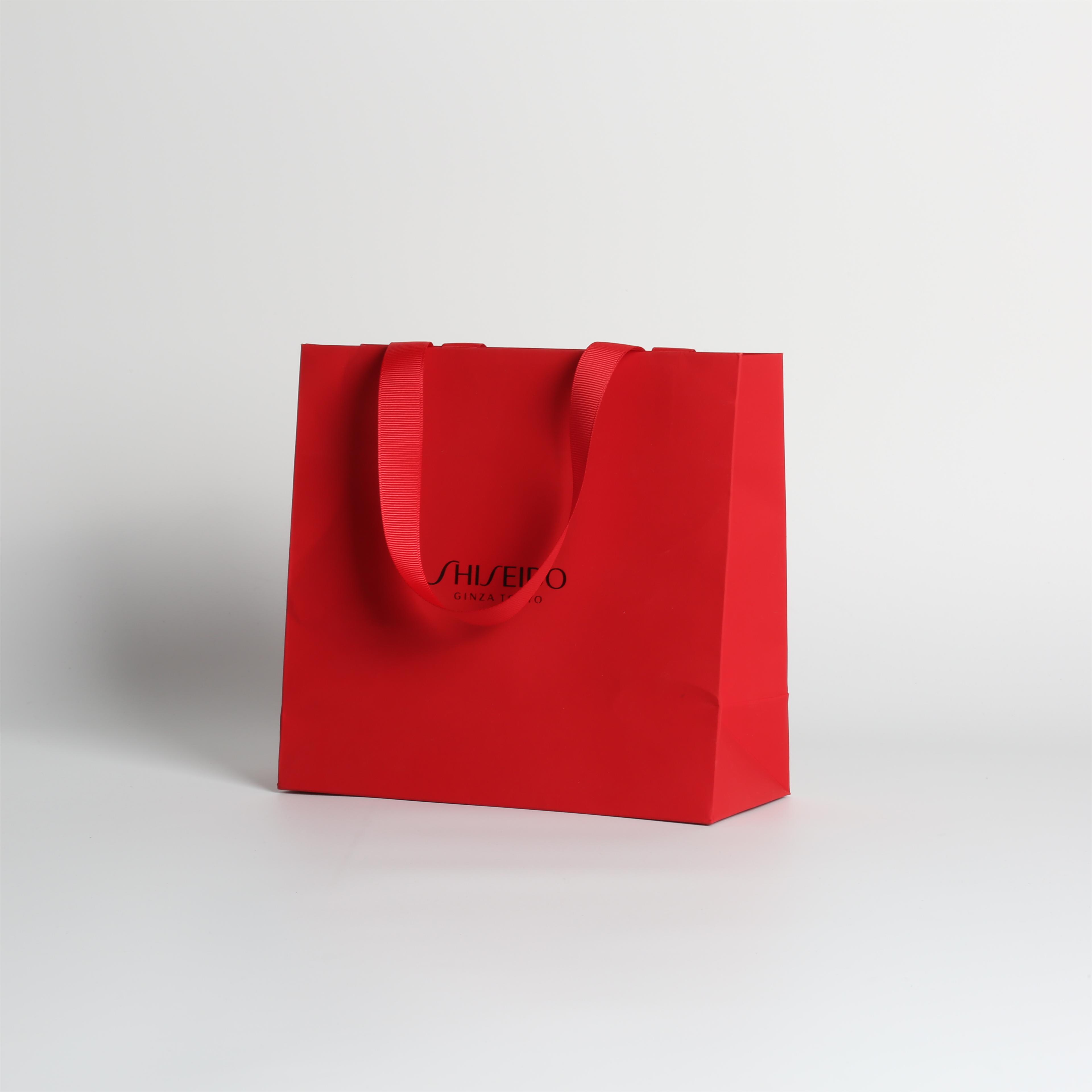 Recyclable Custom Branded Paper Carrier Bags , Retail Paper Bags Wholesale