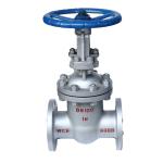 20mm-50mm PN16 API JIS 304/316 Stainless Steel Flange Gate Valve for Water or
