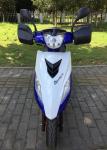 Professional Street Legal Gas Scooters Low Emission Convenient Plastic Body