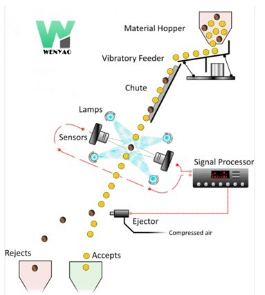 High frequency 6 Chutes Pumpkin Coriander Chili Seeds Color Sorting Machines CE certifited