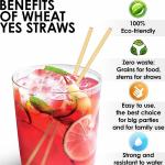 Strong Biodegradable Paper Drinking Straws Waterproof Paper Smoothie Straws