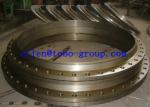 TOBO GROUP AISI SAE 8360 Slip on Flange