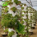 Hydroponic Plant Growth Systems Greenhouses for Optimal Results