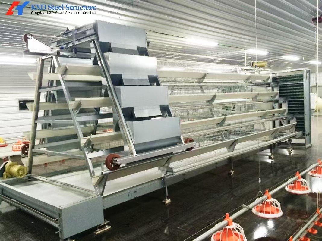Easy Operate Automatic Poultry Farm Equipment A Type Laying Hen Cages