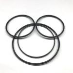 FFKM O Rings High Temperature Resistance All Chemicals Resistance