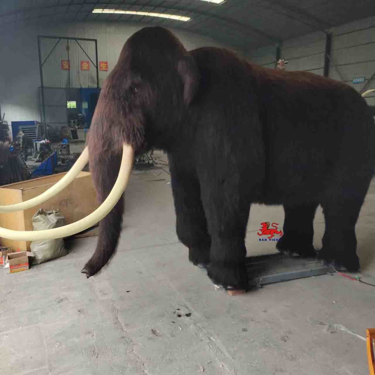 Size Custom Realistic Animatronic Animals Mammoth Model Adult Age