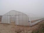 Commercial Plastic Tunnel Greenhouse , High Tunnel Greenhouse Easy Assemble