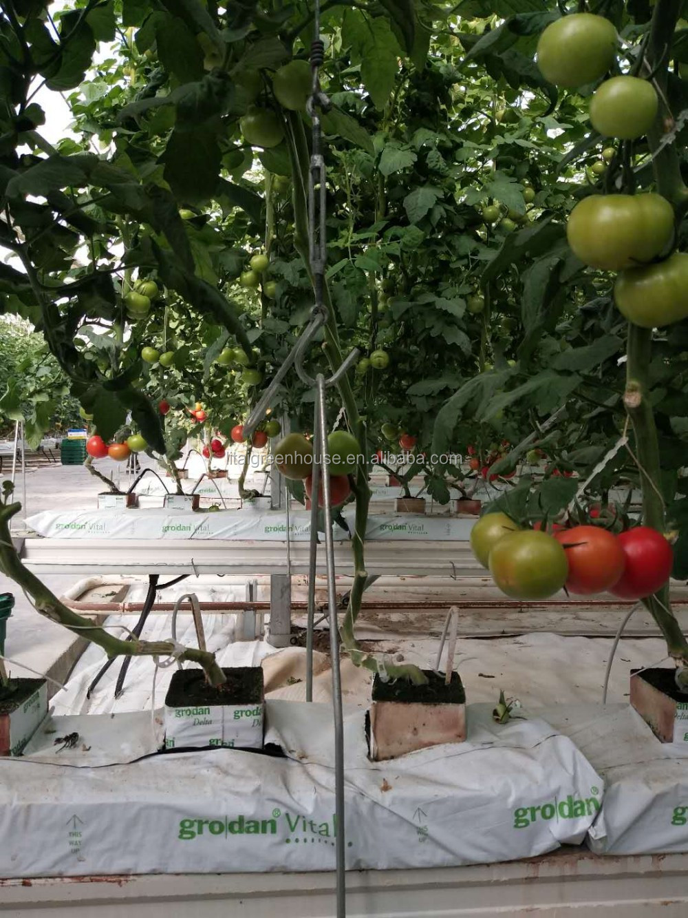 Food Grade PVC Planting Trough for Large-Scale Hydroponic Greenhouse Growing System